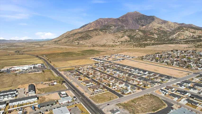 Aerial perspective of suburban area featuring mountains