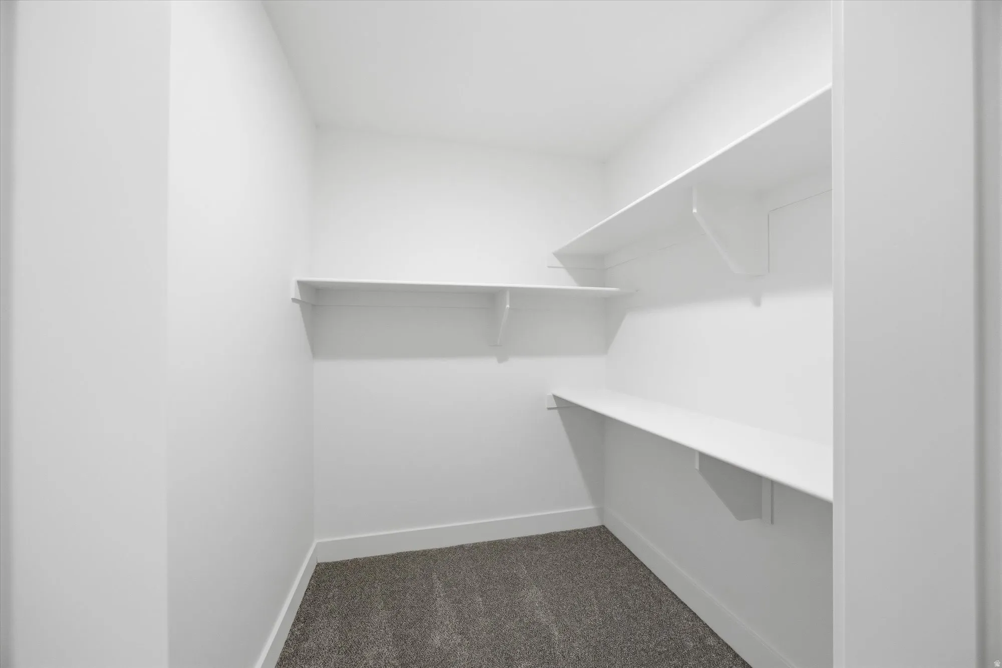 Walk in closet featuring dark colored carpet
