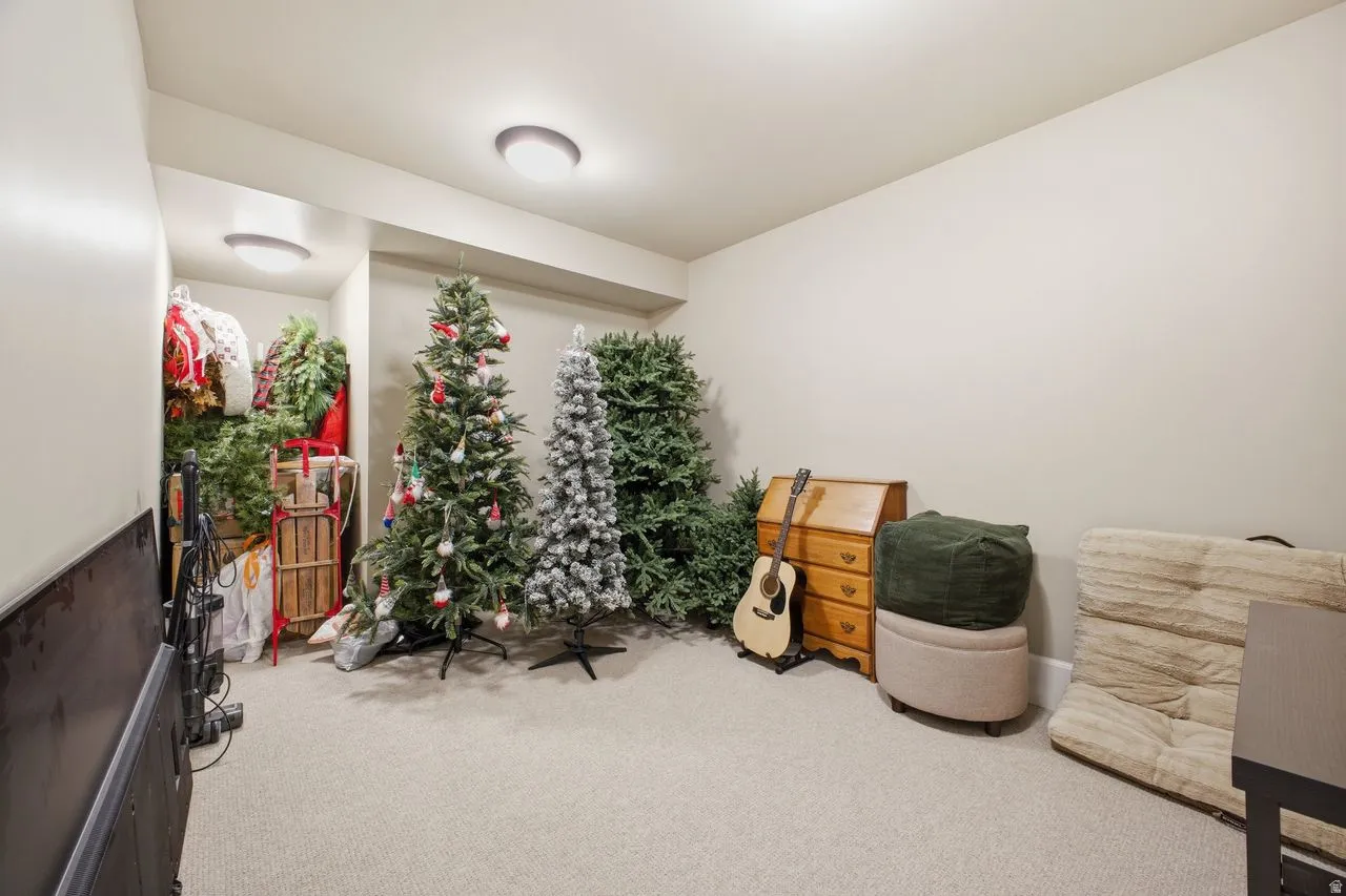 Lower Level Storage Room