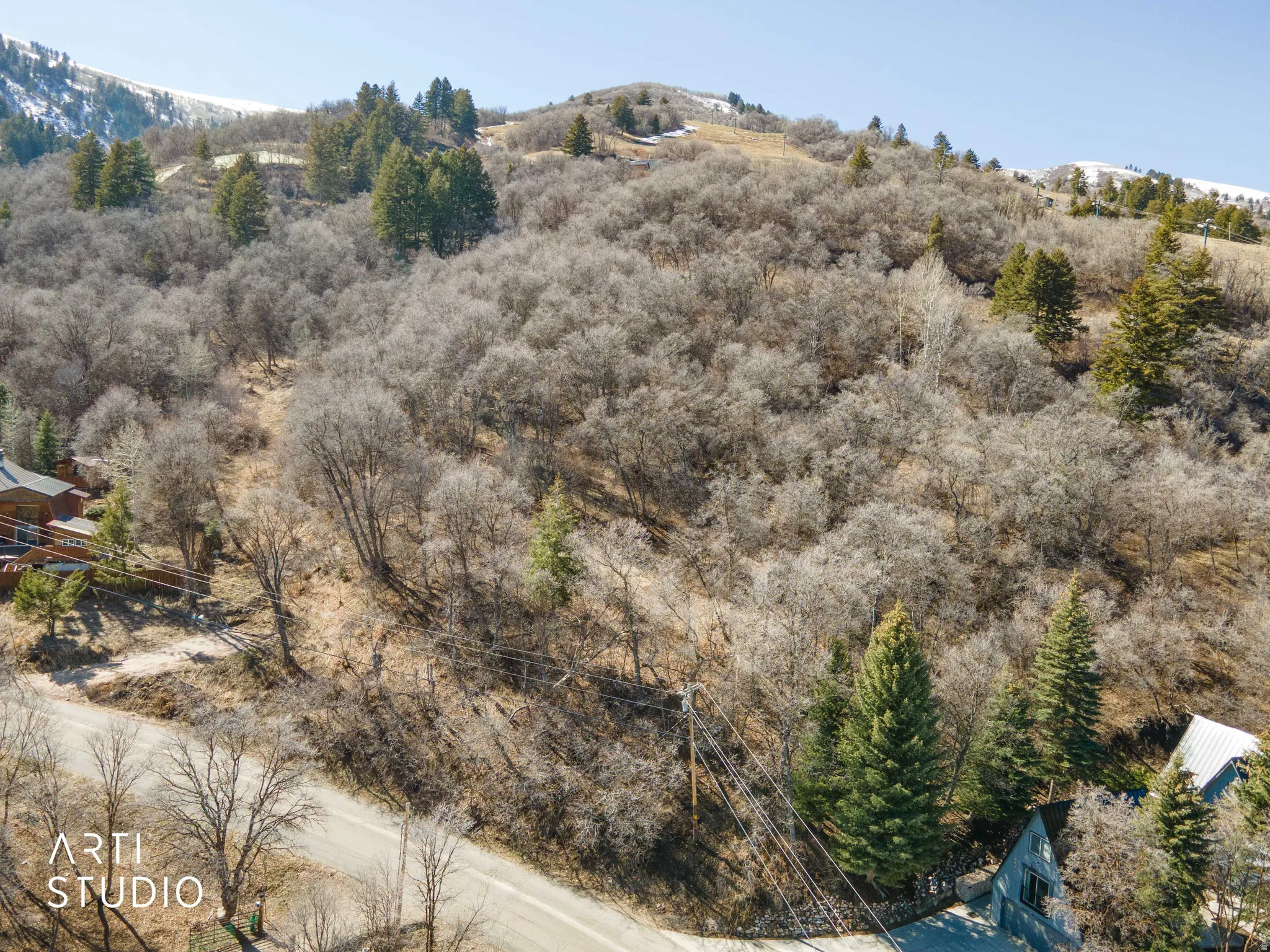 View of mountain backdrop with a tree filled landscape