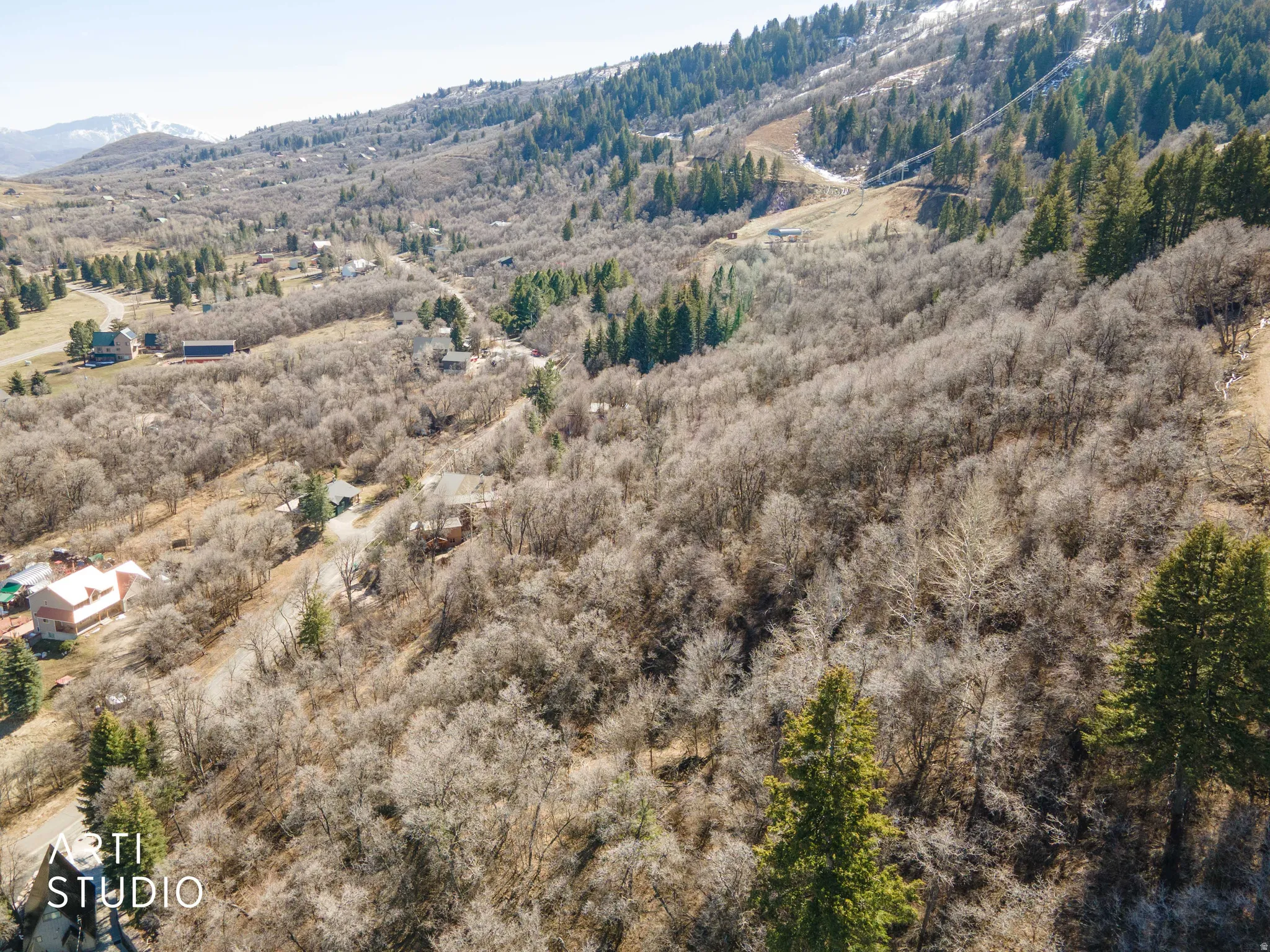 Bird's eye view of a mountain backdrop and a heavily wooded area
