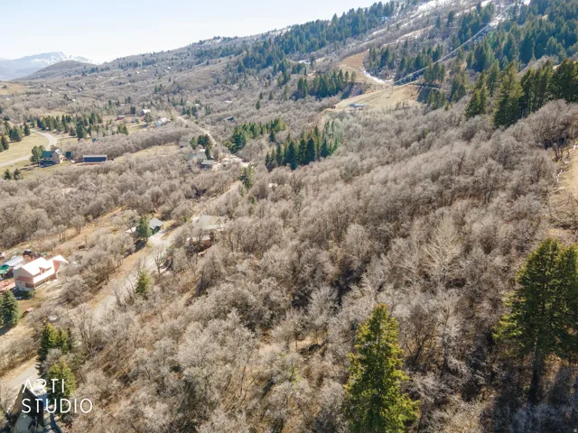 Bird's eye view of a mountain backdrop and a heavily wooded area