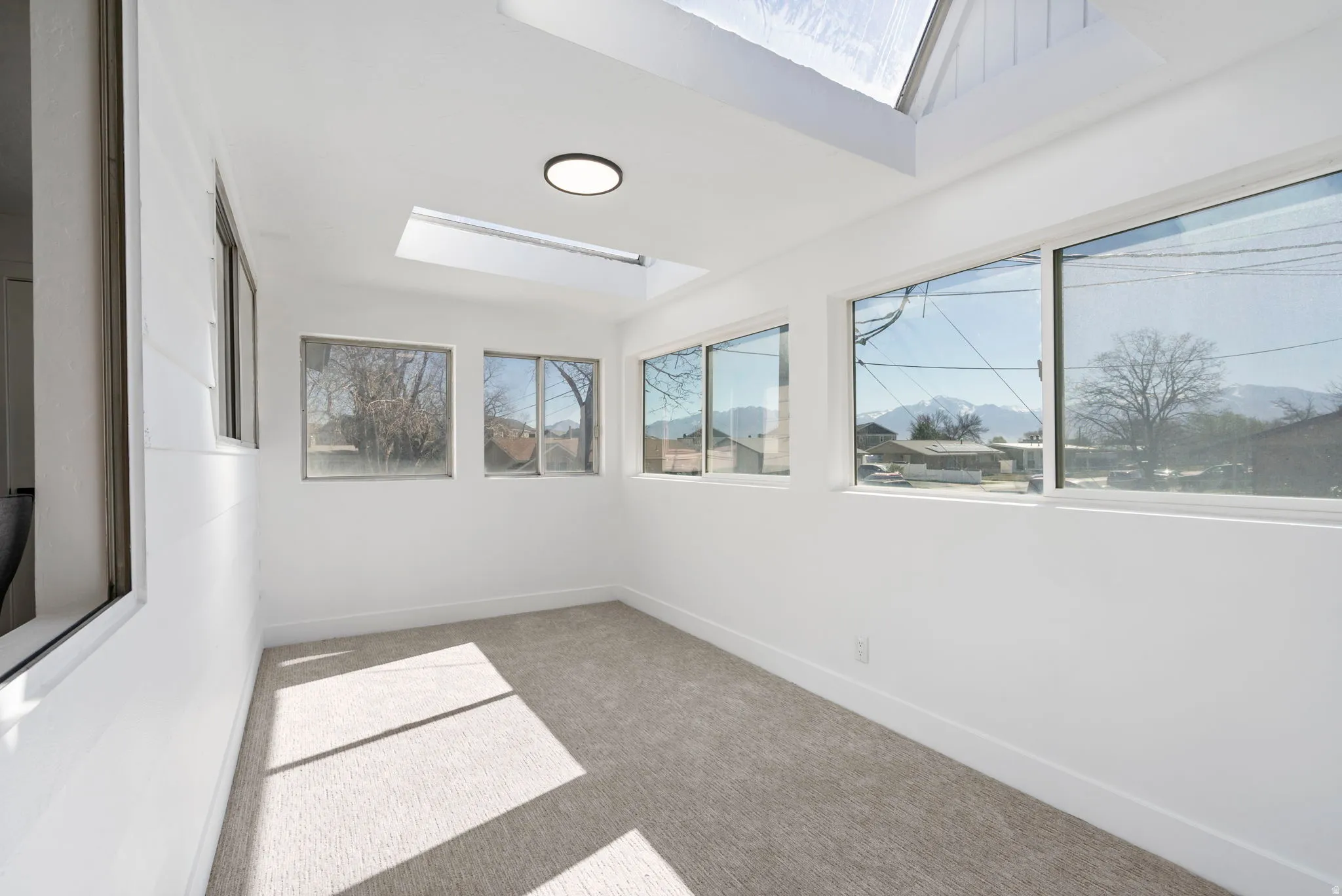 Unfurnished sunroom featuring a skylight and carpet floors