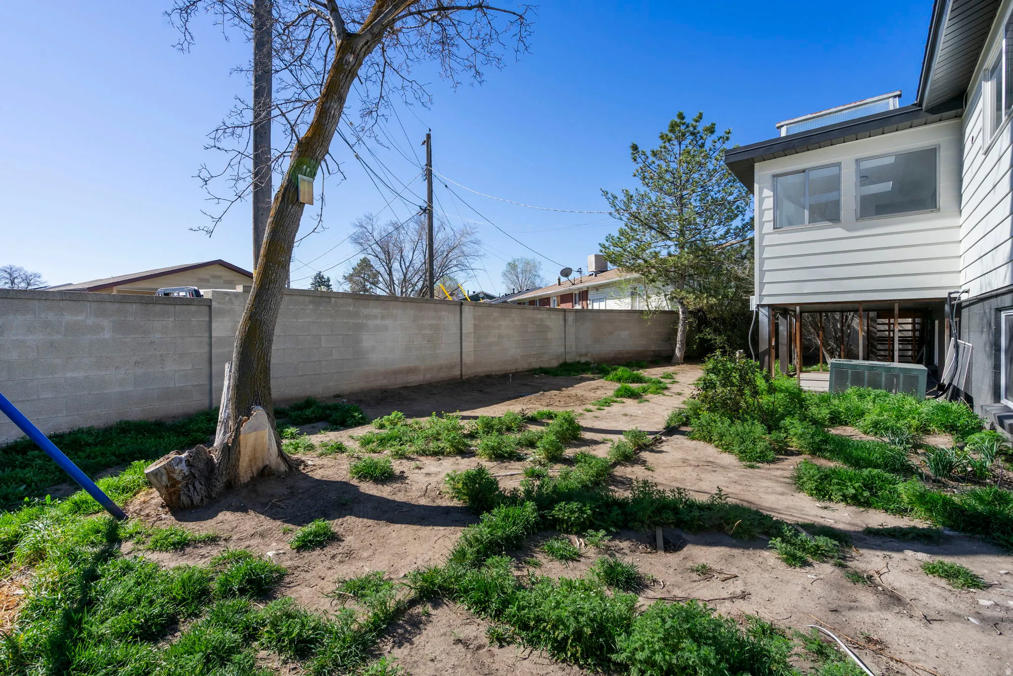 View of fenced backyard