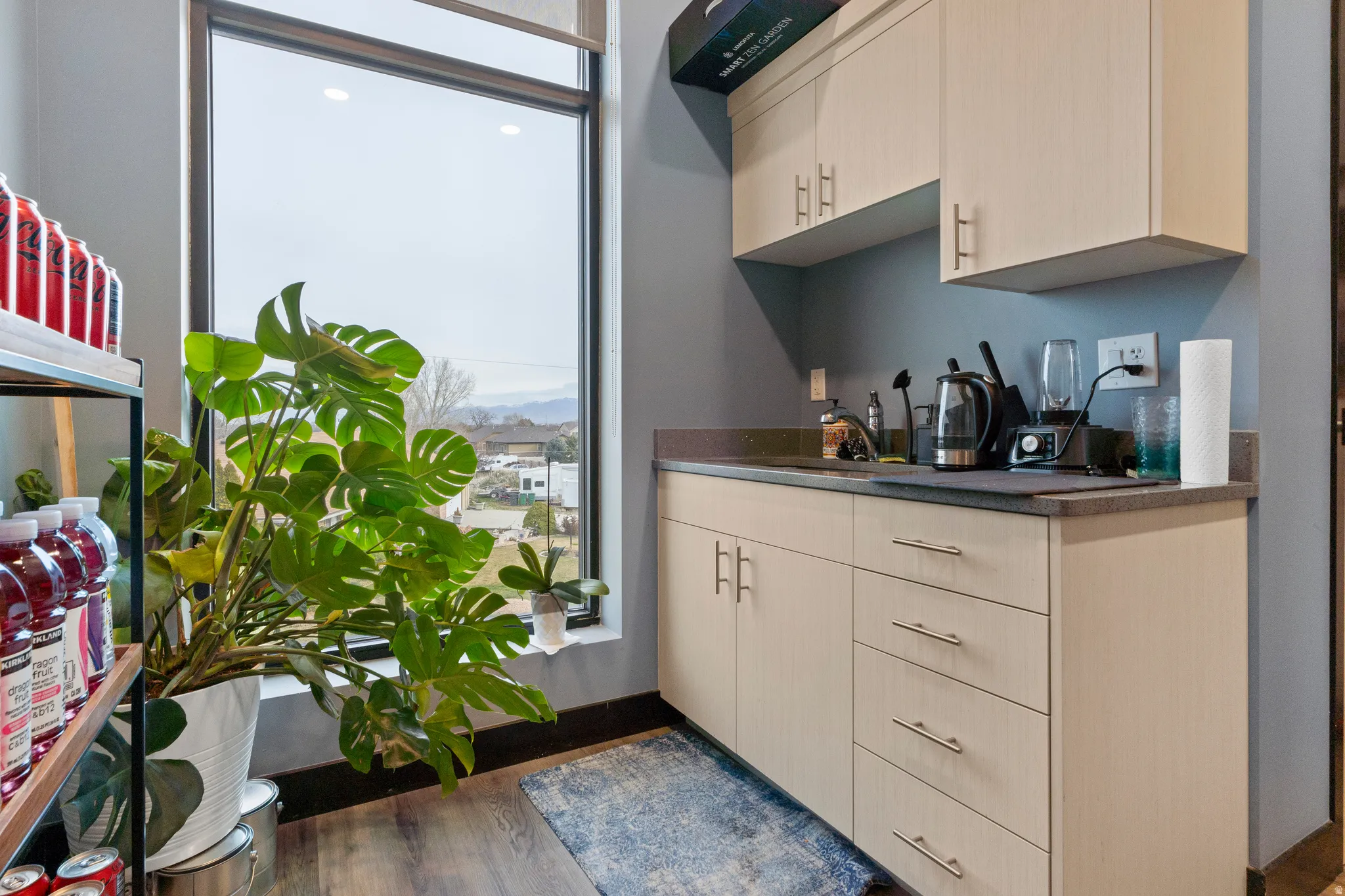 Kitchen featuring dark countertops, healthy amount of natural light, and dark wood finished floors