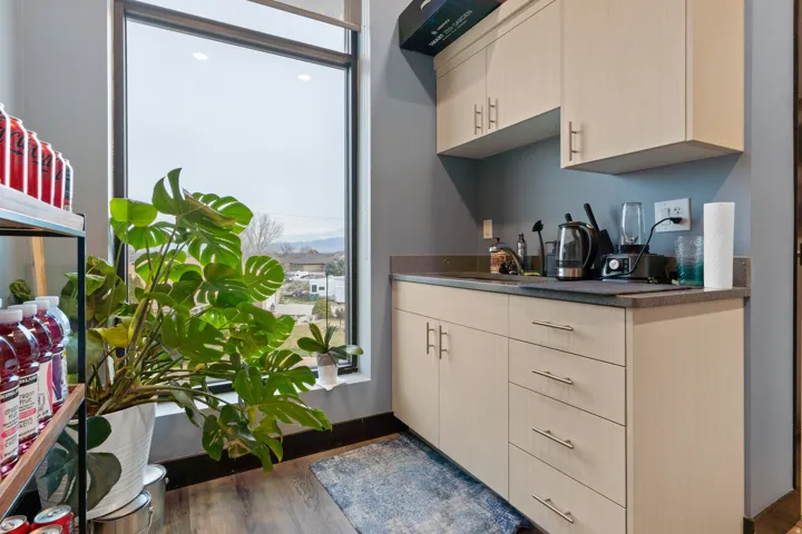 Kitchen featuring dark countertops, healthy amount of natural light, and dark wood finished floors