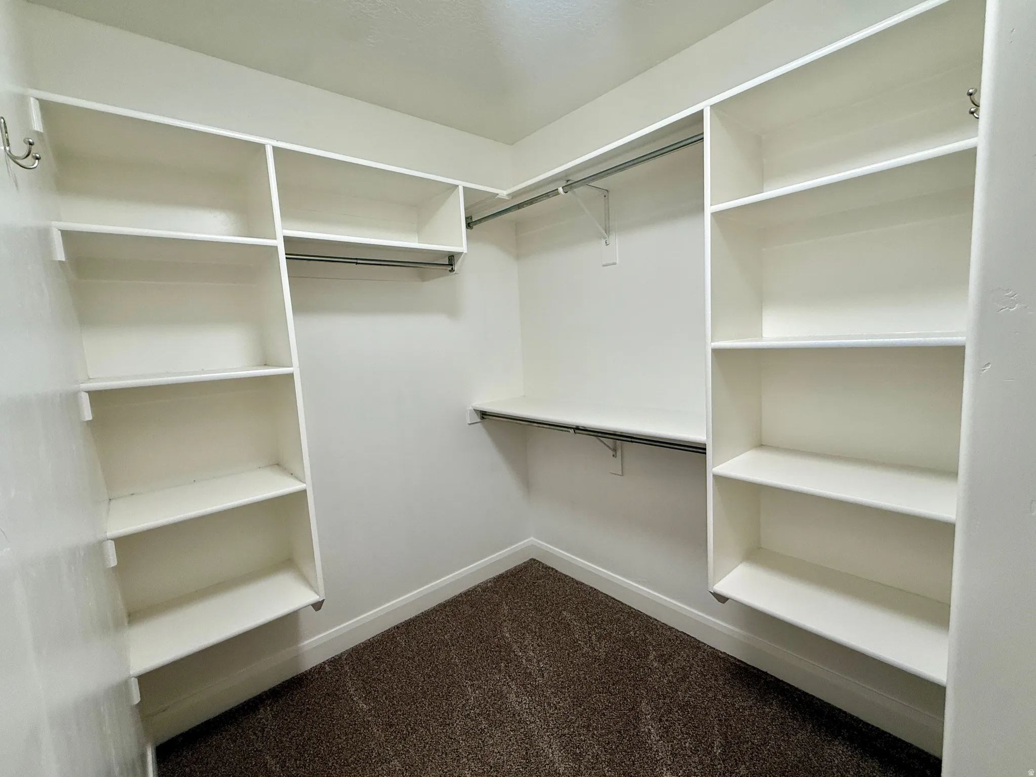 Built-in shelving, hanging rods, and textured carpeting