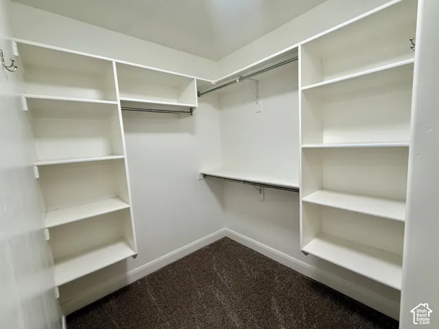Built-in shelving, hanging rods, and textured carpeting