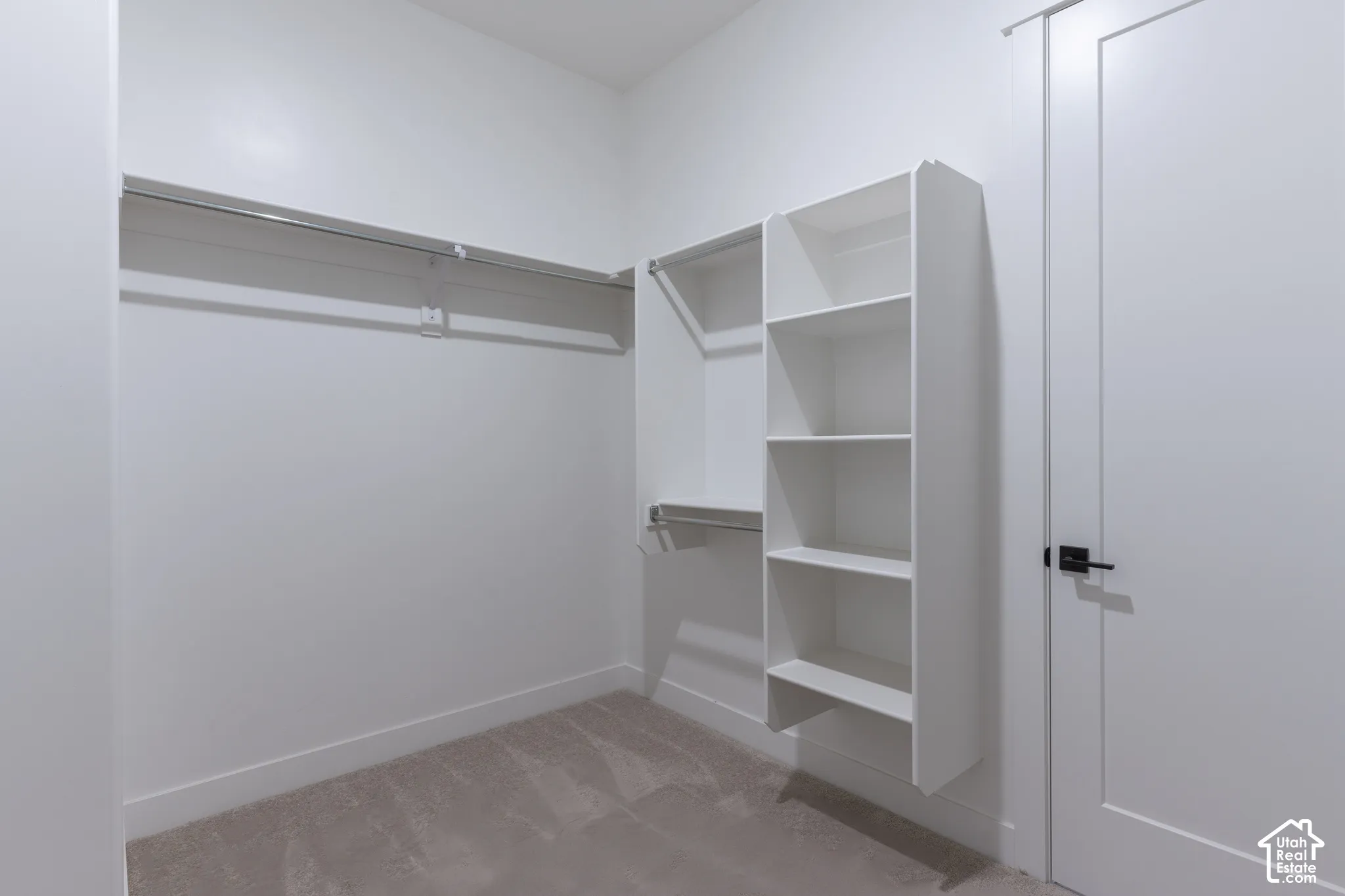 Built-in shelving, hanging rods, and neutral carpet flooring