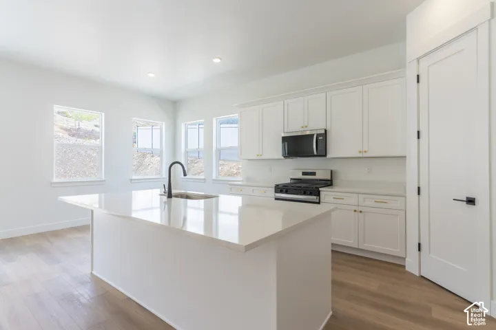 Bright kitchen featuring white cabinetry, a large center island with a sink, stainless steel appliances, and wood-finish flooring