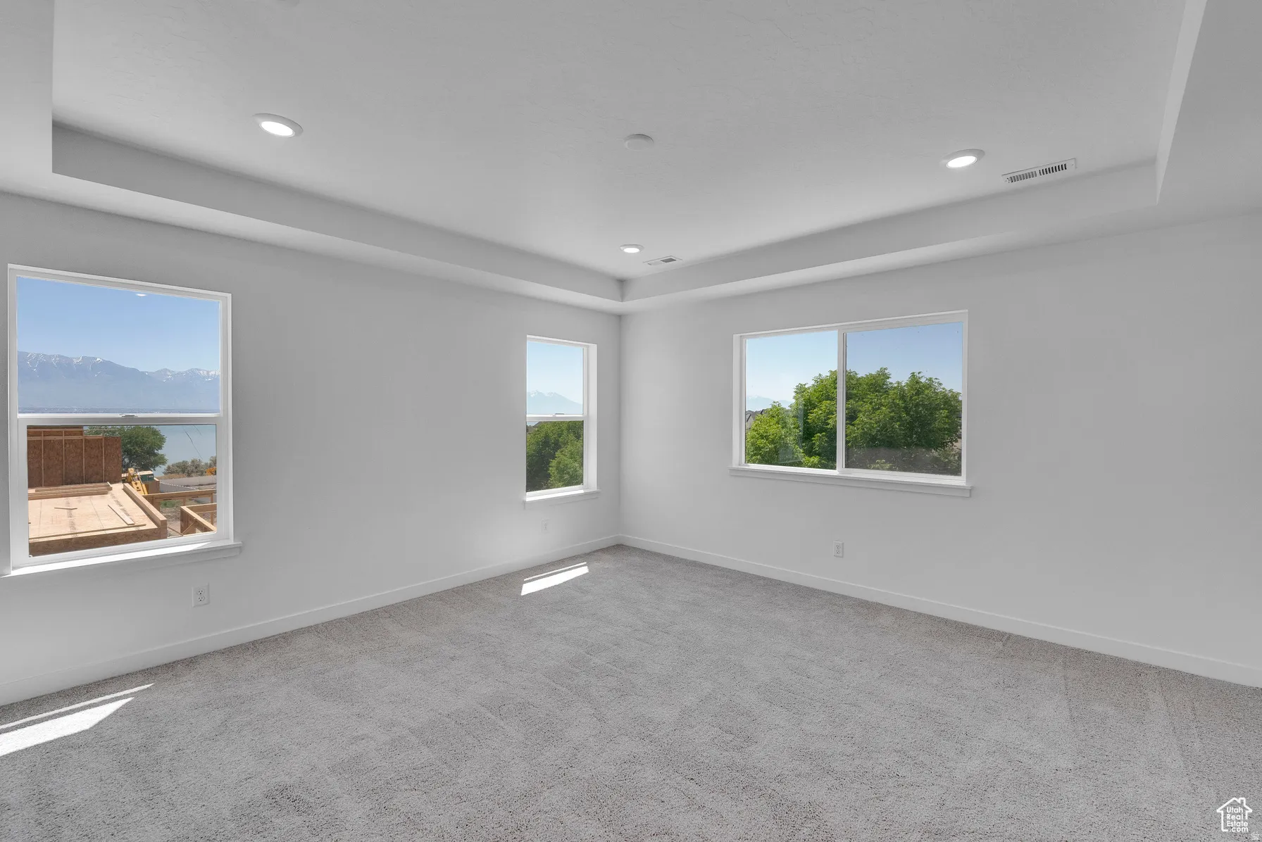 *Colors may vary** Primary room with a raised ceiling, light colored carpet, and recessed lighting