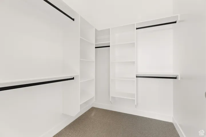Walk in closet with carpet floors