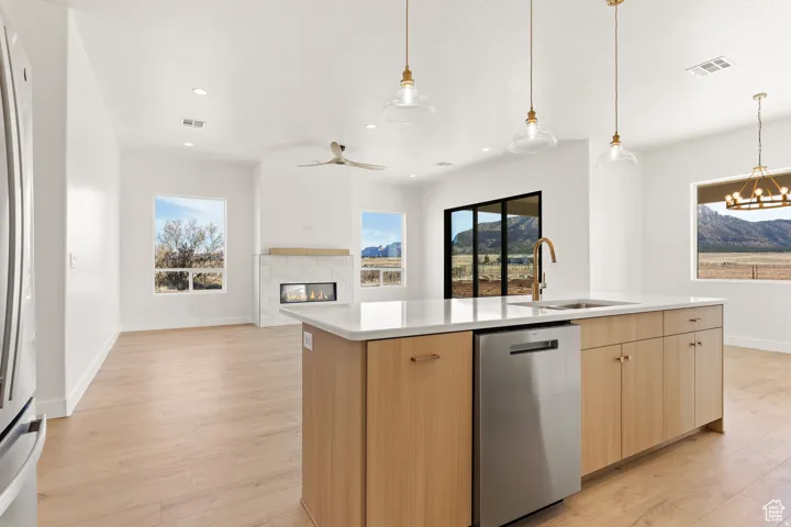 Kitchen with stainless steel dishwasher, a kitchen island with sink, light wood-style flooring, a premium fireplace, and open floor plan