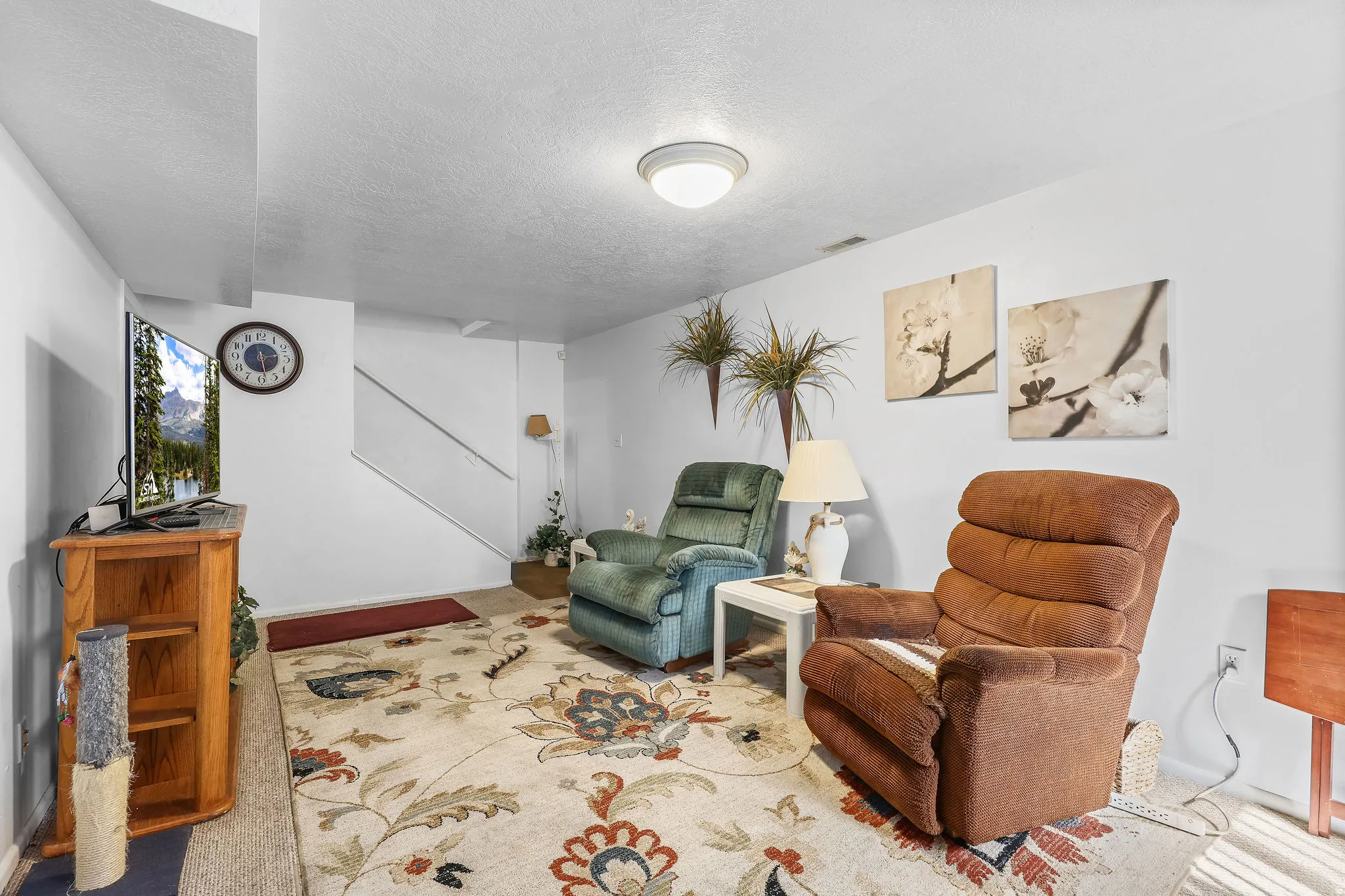 Basement Family Room