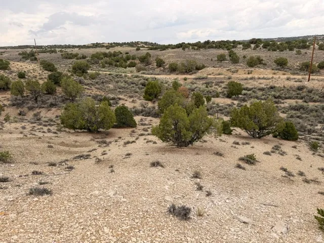 Expansive terrain with natural vegetation and a visible dirt path