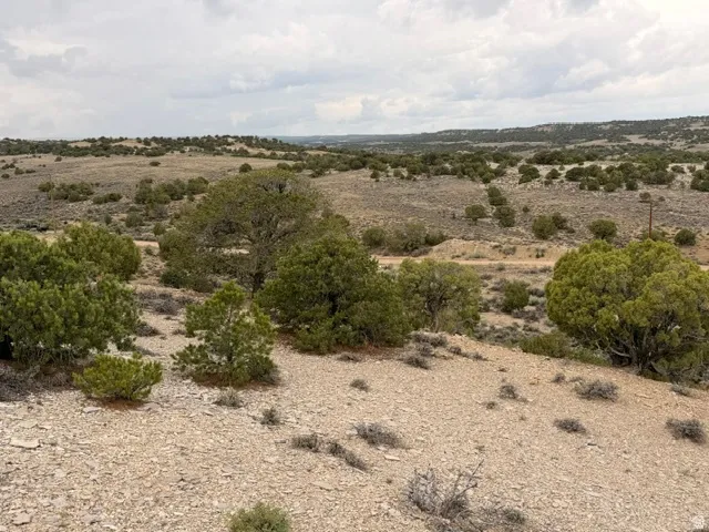 Expansive natural landscape featuring varied terrain, scattered evergreen trees, and distant rolling hills