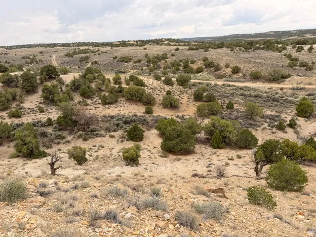 Expansive landscape featuring natural terrain and varied vegetation