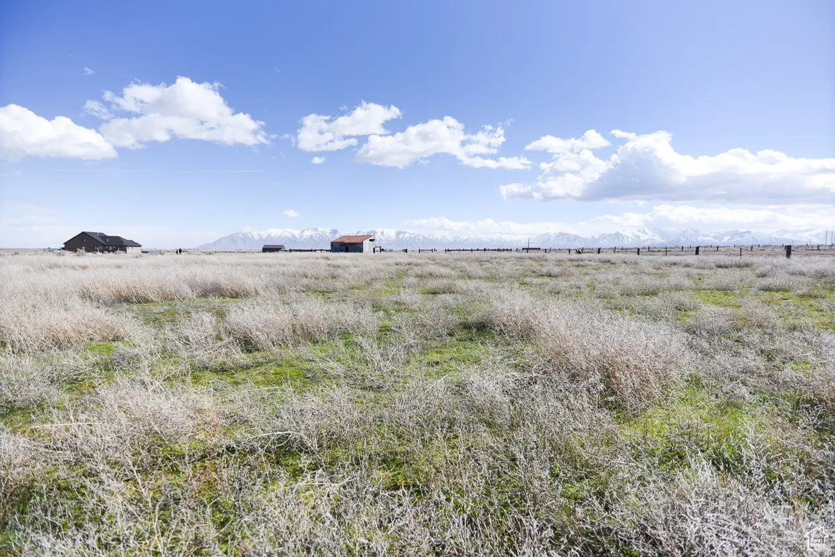 View of local wilderness with a mountainous background and rural landscape