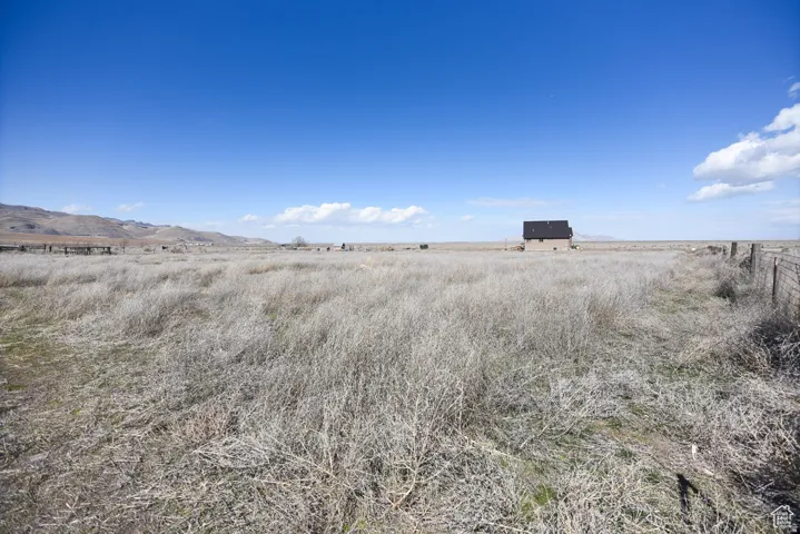View of yard with a view of rural / pastoral area