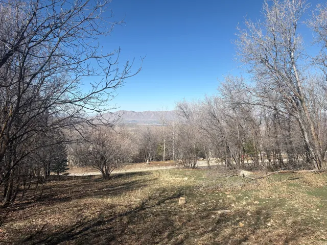 View of mountain backdrop