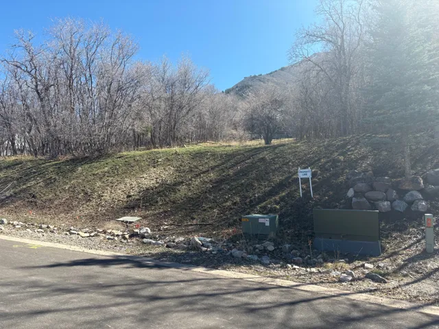 View of yard with a mountain view