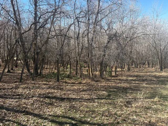 View of nature