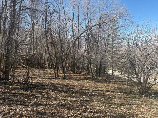 View of nature