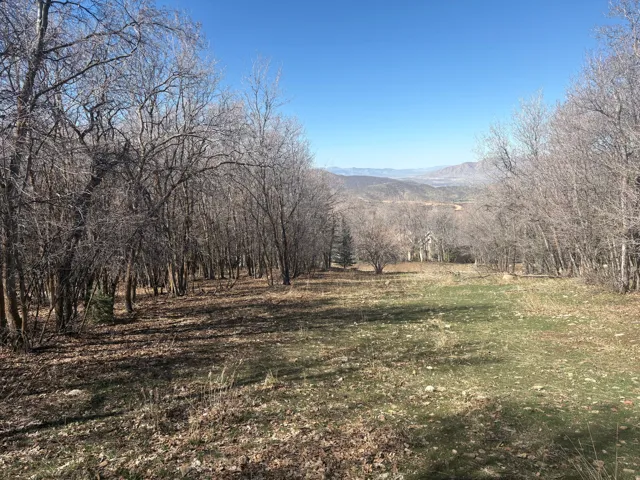 View of mountain backdrop