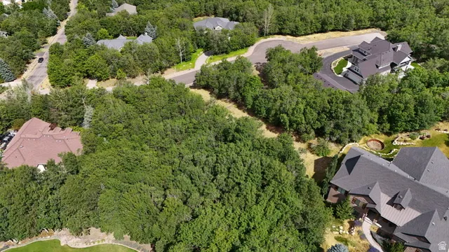 Expansive wooded lot surrounded by mature trees
