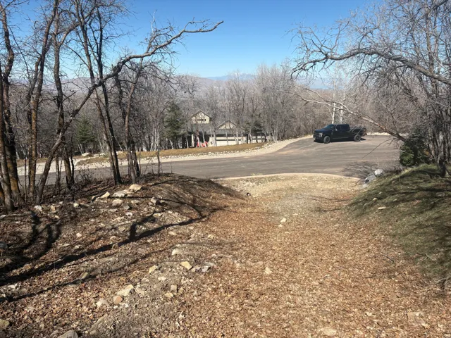 View of asphalt road