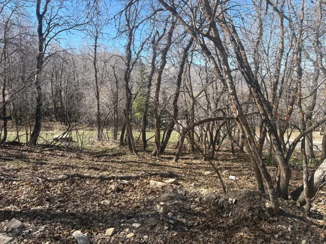 View of nature