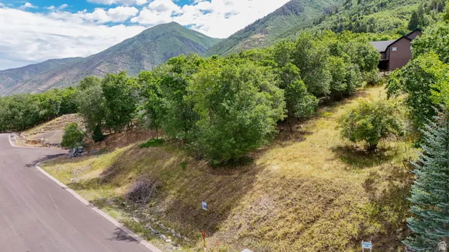 Expansive sloped lot featuring mature trees and mountain scenery