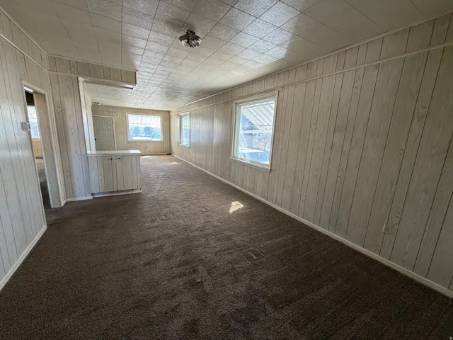 Spare room featuring wooden walls and dark colored carpet