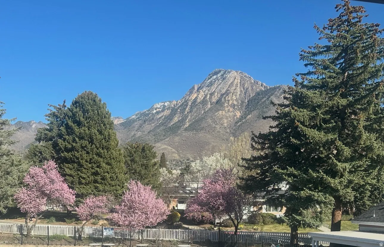View of Mt. Olympus from all windows