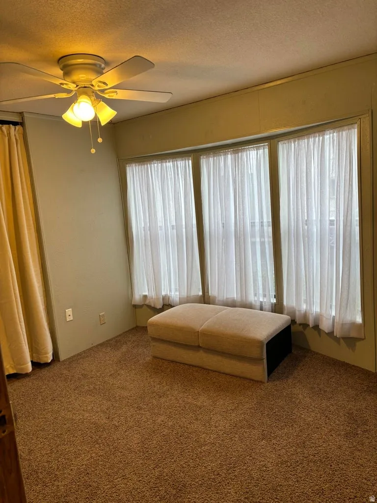 Carpeted living area with a ceiling fan and a textured ceiling