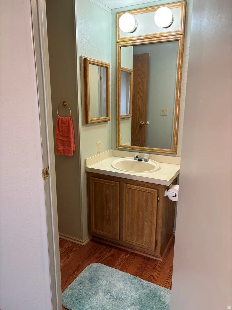 Bathroom featuring wood finished floors and vanity