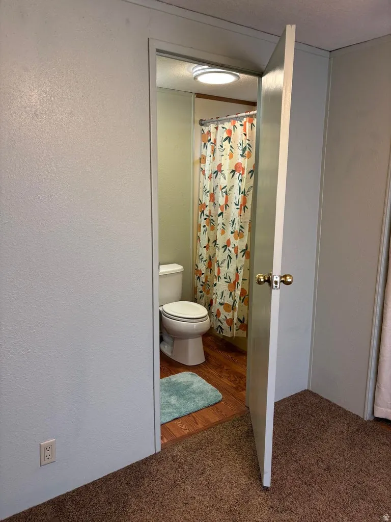 Bathroom featuring a textured wall, curtained shower, and carpet
