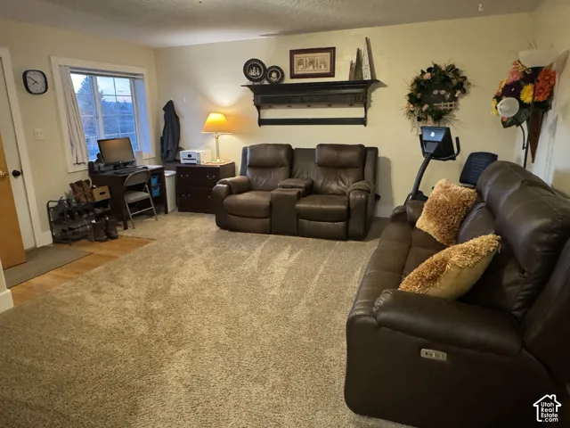 Carpeted living area with a textured ceiling