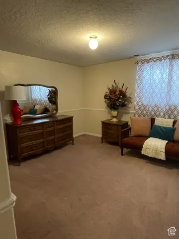 Neutral wall paint, textured ceiling, flush mount ceiling light, and wall-to-wall carpeting