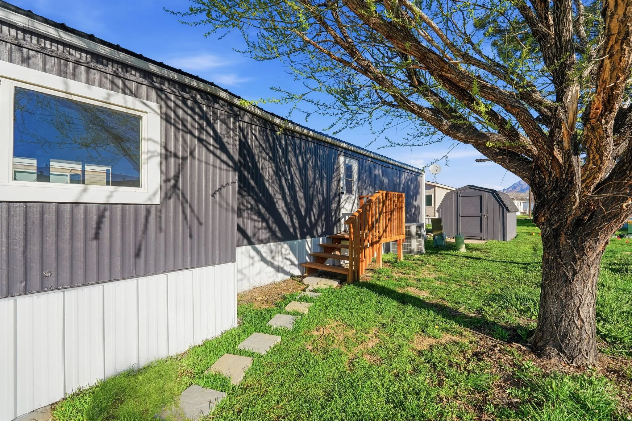 View of green lawn with a storage shed