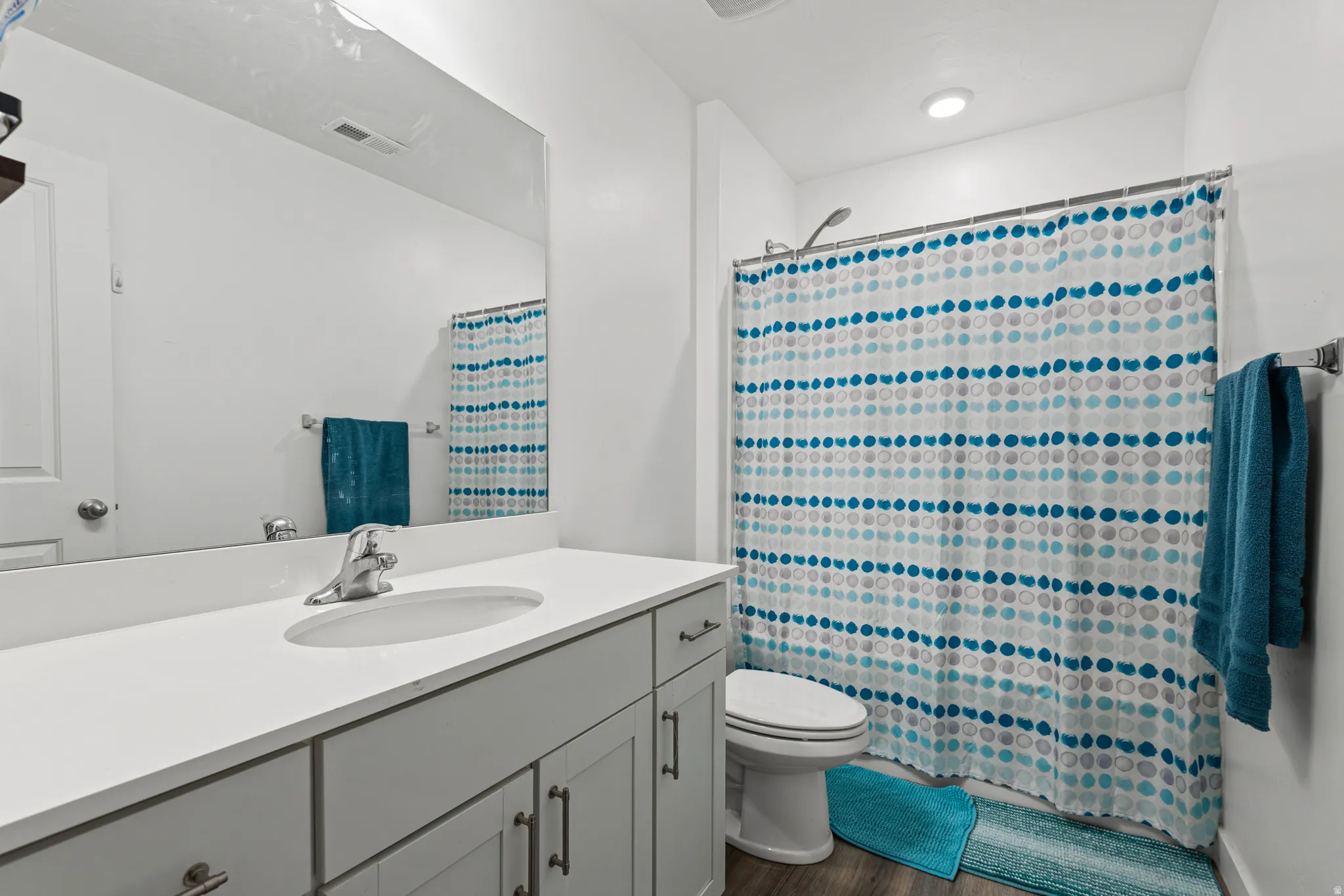 Bathroom featuring vanity, dark wood finished floors, and curtained shower