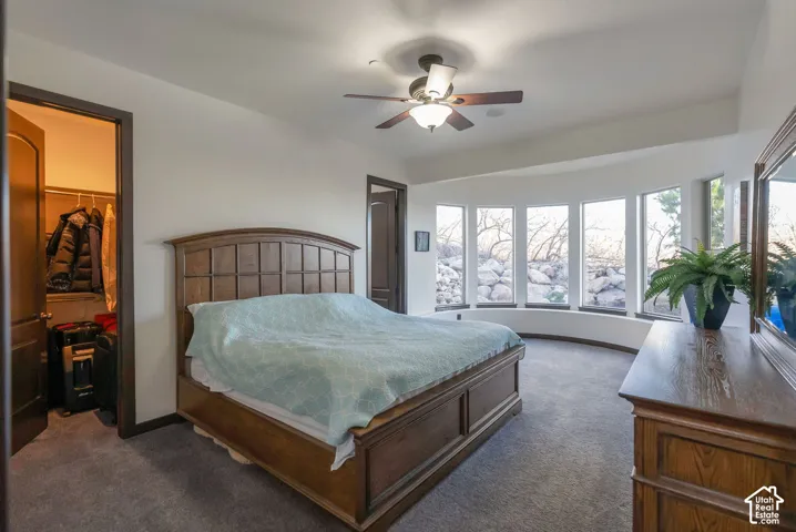 Bedroom featuring dark colored carpet, ceiling fan, and a spacious closet