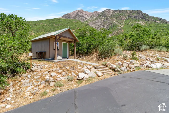 Compact storage shed with a light green metal roof and coordinating green door