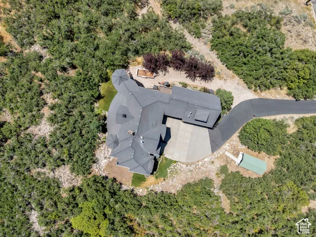 Expansive property featuring a distinctive multi-gabled roofline, a curved paved driveway, and extensive surrounding foliage