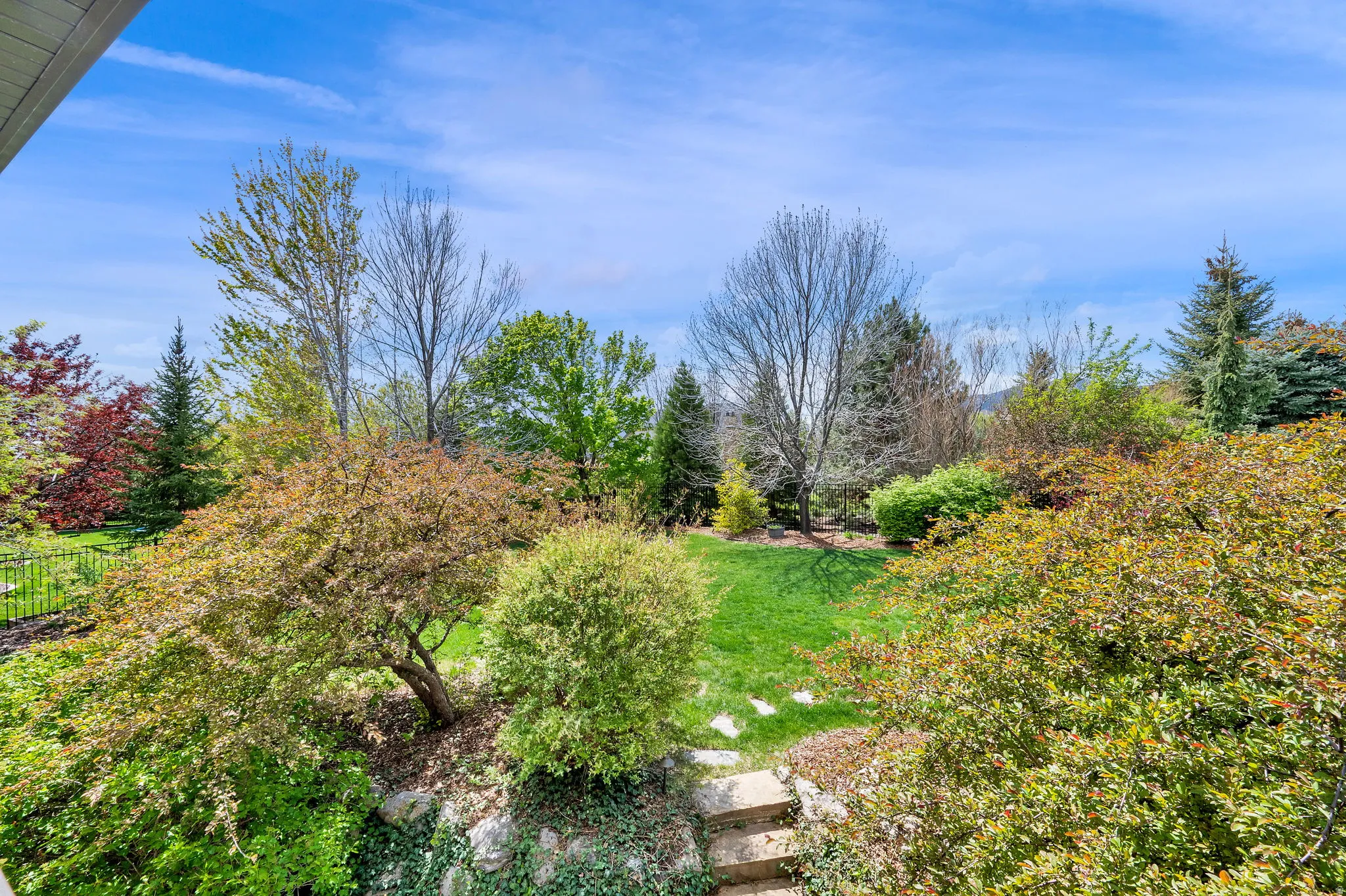 View of grassy yard