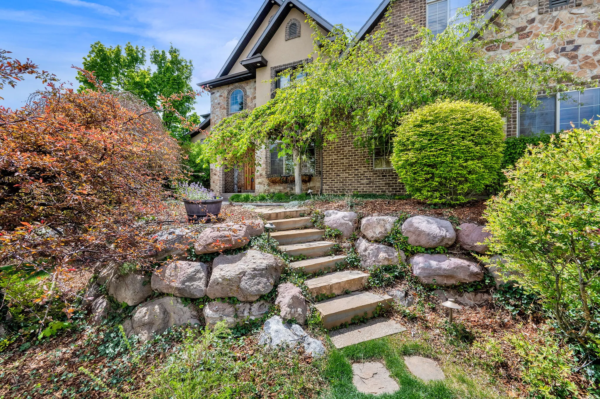 View of yard featuring a patio area