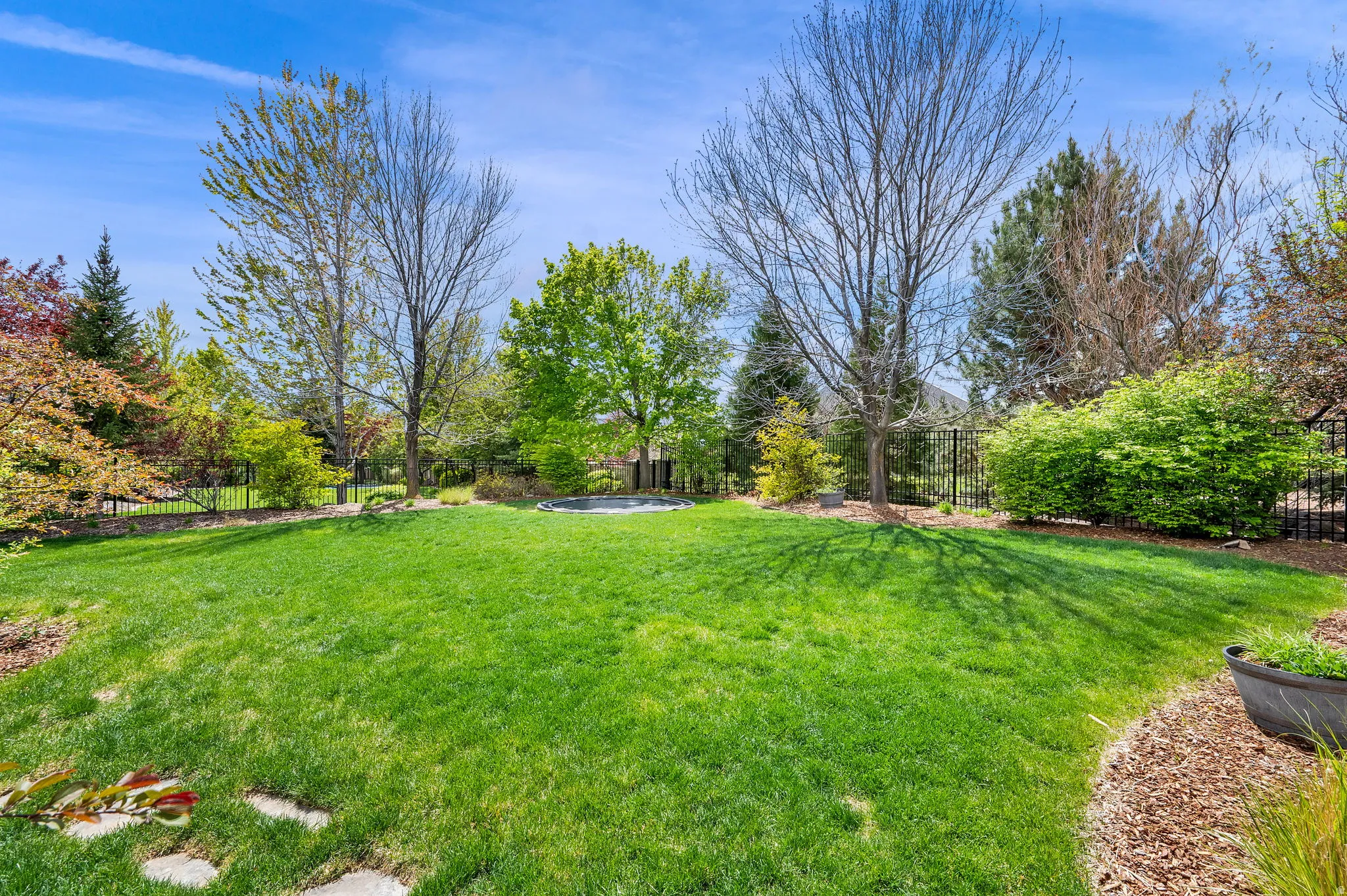 View of fenced backyard