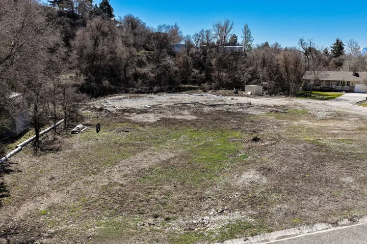 View of yard featuring view of wooded area