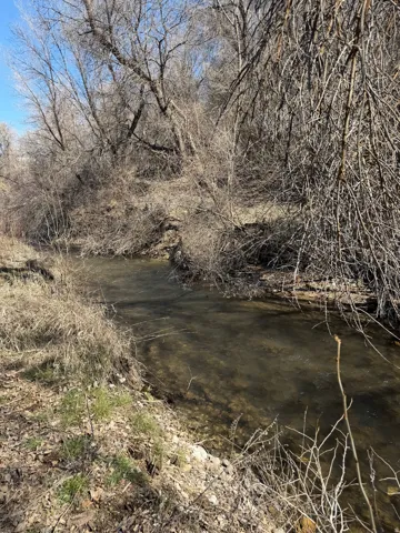 Water view with a tree filled landscape