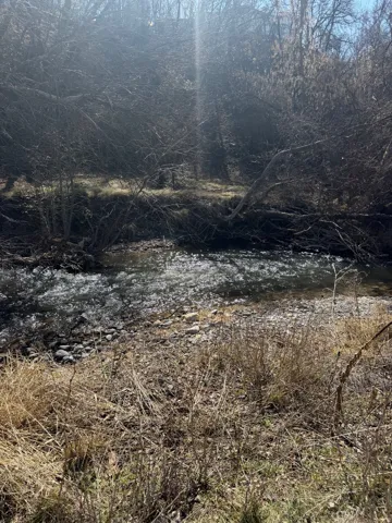 View of local wilderness featuring a nearby body of water